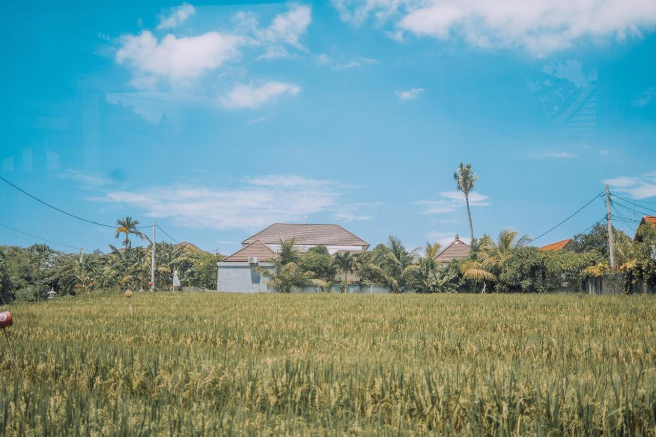 Gajah Villa By Betterplace Чангу Экстерьер фото